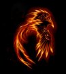 Phoenix1