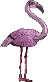 bird93